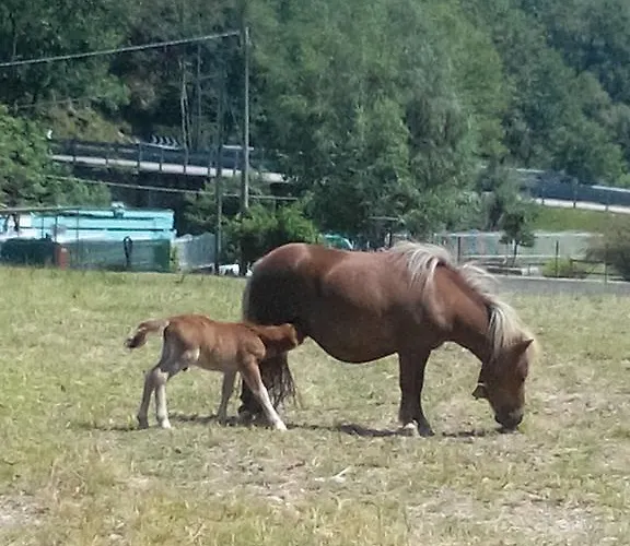 Séjour à la ferme La Miniera Gignese