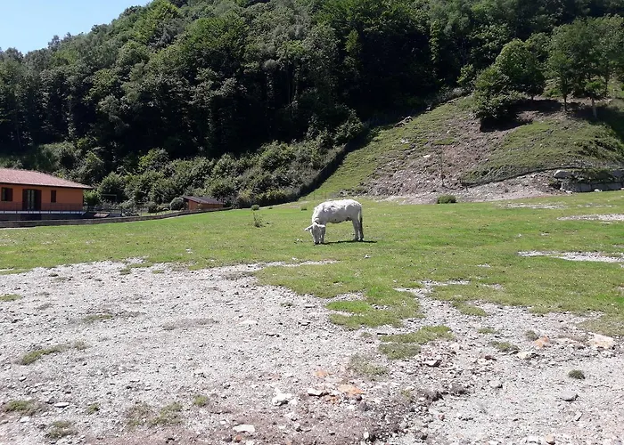 Séjour à la ferme La Miniera Gignese
